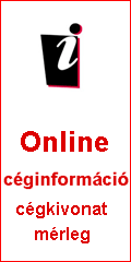 Online_céginfo